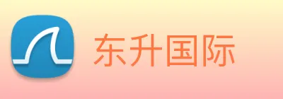 东升国际 logo
